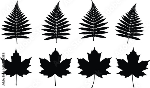 Leaf silhouette collection, fern leaves, maple leaves, botanical illustration, nature design