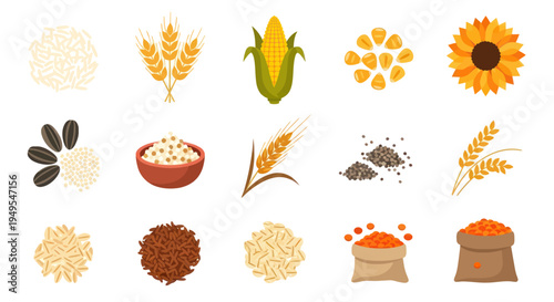 Various grains and seeds isolated on white