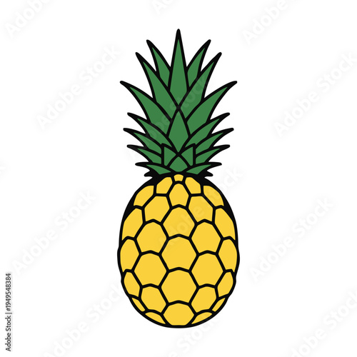 vector pineapple isolated on white
