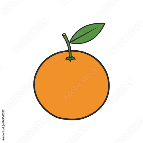 orange fruit vector illustration