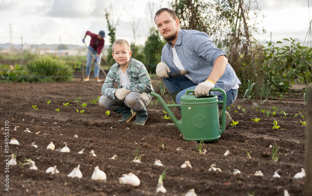 Naklejka premium Man and his son plant garlic on a farm. Family of farmers cultivate the soil and plant seeds. Process of growing organically healthy vegetables