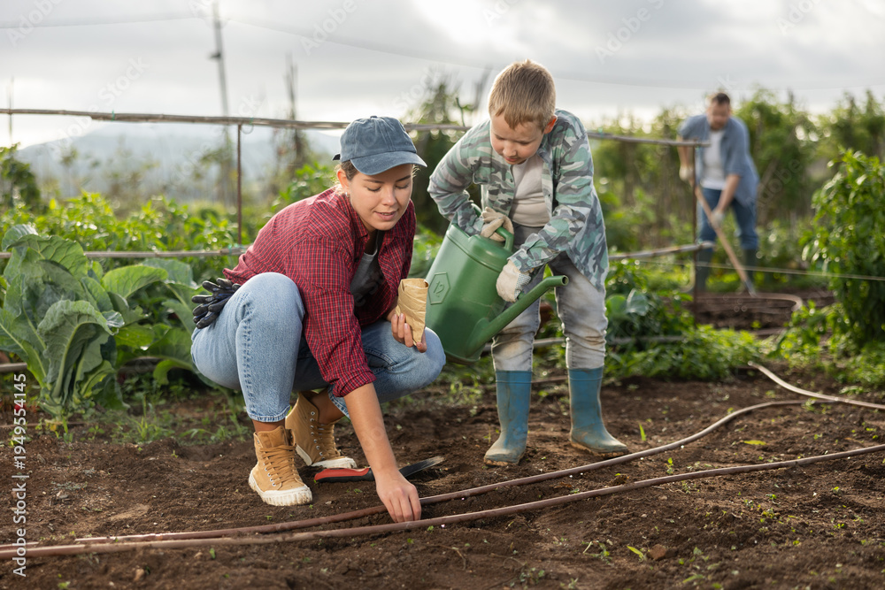 Obraz premium Woman and her son are planting seeds on a farm. Guy helps a female farmer plant seeds. Process of planting seeds in the ground