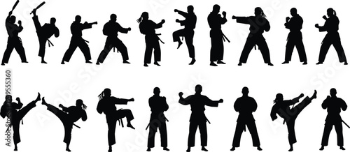 Martial arts fighter silhouettes performing karate kicks, punches and combat stances, professional martial artists isolated vector set for sport training design