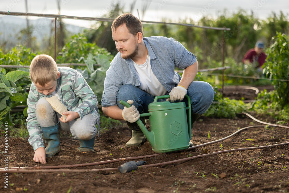Obraz premium Farmer with son plant semen in cultivated land. Process of growing organically healthy vegetables and herbs on the farm. Season for planting seeds in the garden