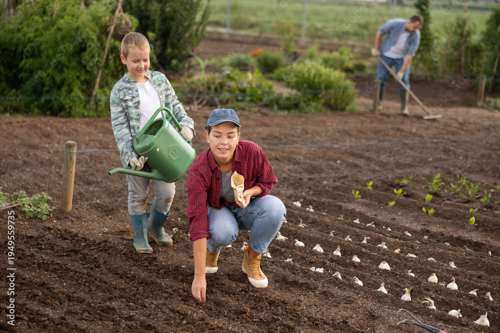 Fototapeta premium Farmer woman and her son plant seeds and garlic on the farm. Planting farm vegetables