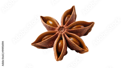 Canvas-taulu Aromatic star anise spice pod with glossy brown seeds, perfectly isolated PNG fo
