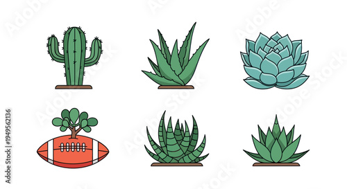 Illustrated cactus and succulent plant set
