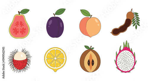 Illustrated fruit collection on white background