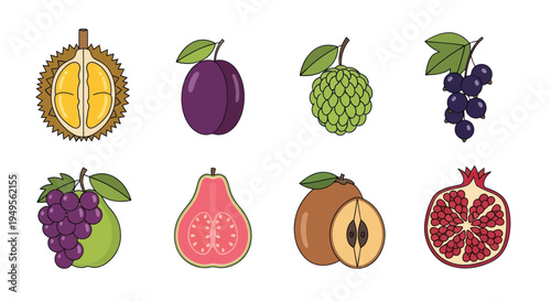 Illustrated fruit collection on white background