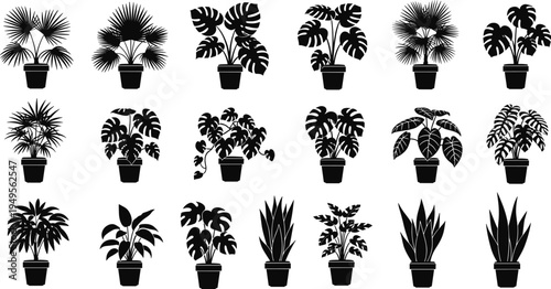 Black silhouettes of various tropical houseplants in pots including monstera palm and snake plants isolated on a clean white background