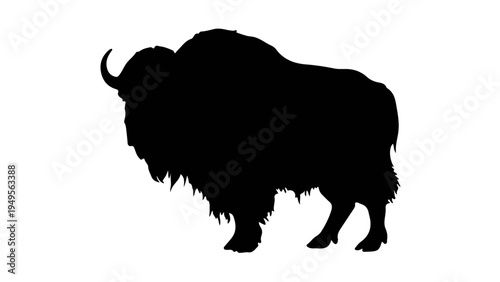 American Bison Buffalo Silhouette Isolated on White