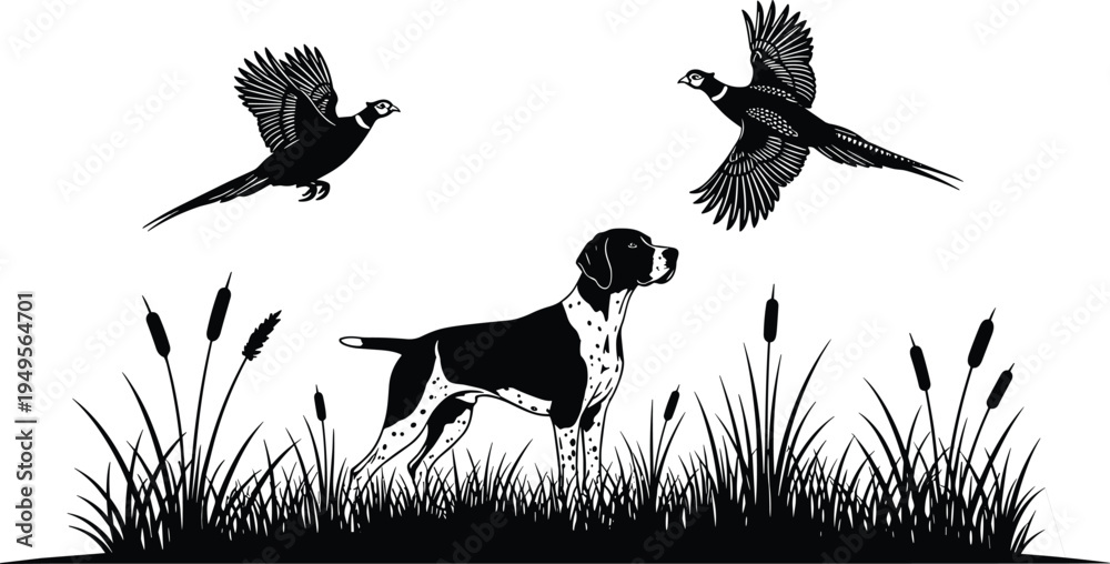 Fototapeta premium Hunting dog with flying pheasant birds silhouette scene, hunting landscape illustration with grass and reeds, wildlife hunting concept isolated on white background