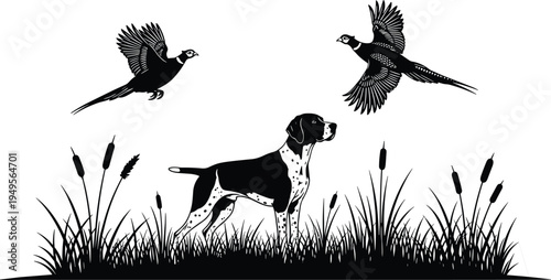 Hunting dog with flying pheasant birds silhouette scene, hunting landscape illustration with grass and reeds, wildlife hunting concept isolated on white background
