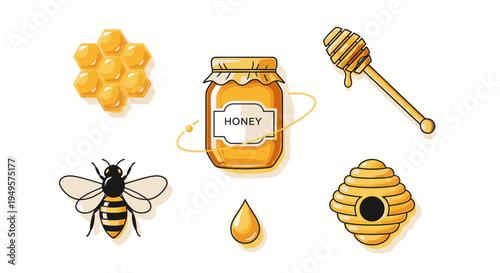 Honey bee and honeycomb illustration.