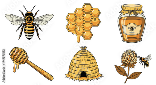 Honey bee and honeycomb illustrations 1.