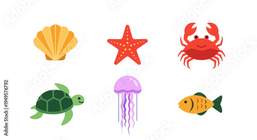 Ocean life illustrations sea creatures