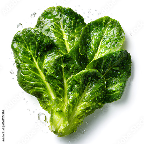 Fresh green lettuce and cabbage leaves isolated on white background showing healthy organic vegetables