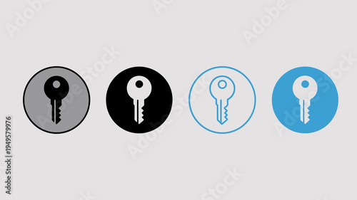 Four key icons are presented in varying color schemes showcasing grayscale and blue variations within circular frames high quality professional detailed modern elegant stylish clean crisp