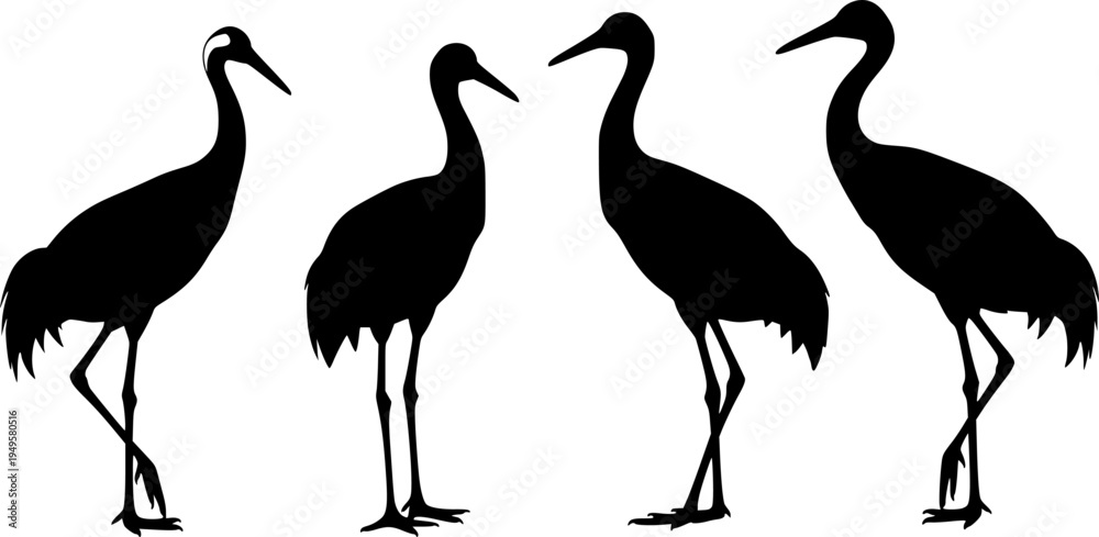 Naklejka premium Crane bird svg, Crane bird silhouette, Japanese crane svg, Sandhill crane svg, Crane silhouette, Crane svg set 