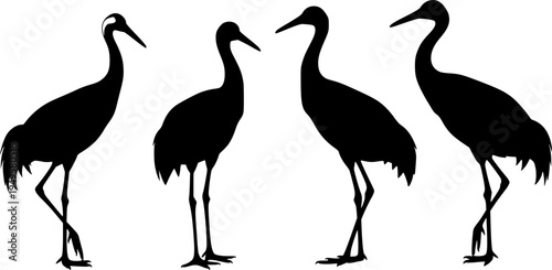 Crane bird svg, Crane bird silhouette, Japanese crane svg, Sandhill crane svg, Crane silhouette, Crane svg set
