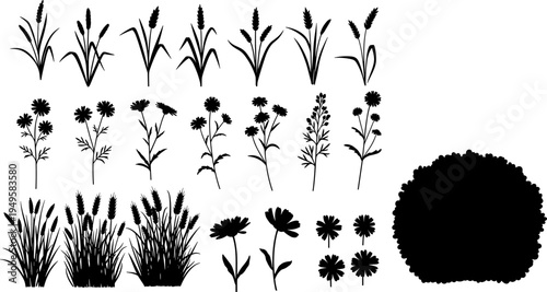 Wildflower silhouettes collection, meadow plants, grass and floral elements, botanical vector set, nature clipart isolated on white background design