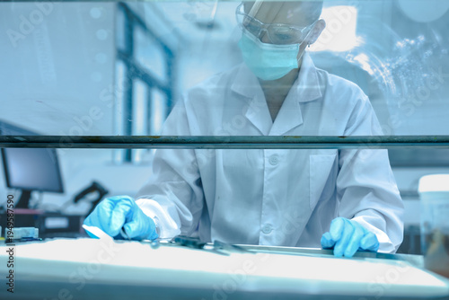 Cuadro en lienzo Medical pathologist performing gross examination of tissue biopsy