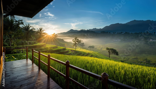 Sunrise rice terrace balcony view peaceful morning light over green paddy field