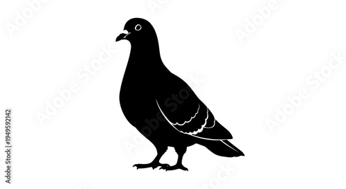 Silhouette of a pigeon standing against a white background