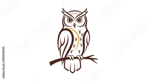 Owl illustration on white background