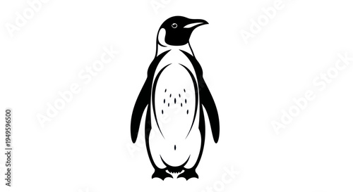 Penguin illustration on white background