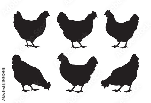 Six black chicken silhouettes on white background depicting various farm animal poses and actions