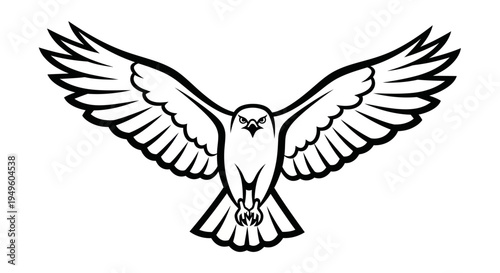 Soaring eagle illustration
