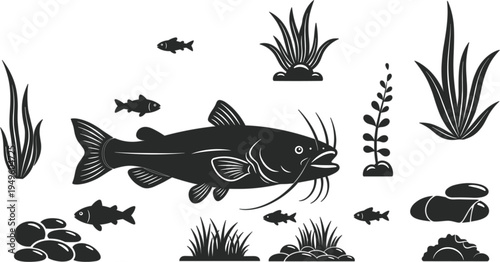 Catfish silhouette swimming in freshwater river ecosystem with small fish aquatic plants and stones vector illustration for underwater