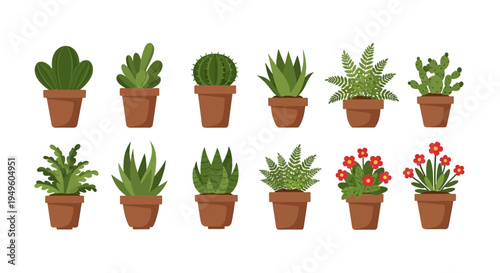 Flat lay illustration of assorted potted plants and succulents on a white background