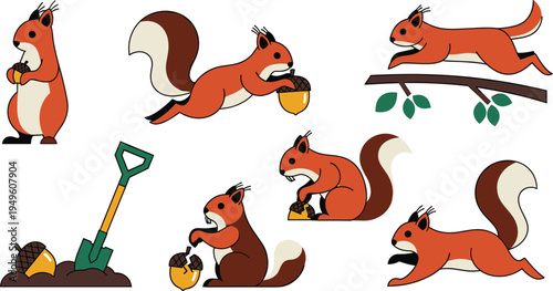Cute Red Squirrel Vector Set Featuring Forest Animals Digging Burying And Holding Acorns For Autumn Nature Illustrations Children Education And Woodland Wildlife Designs