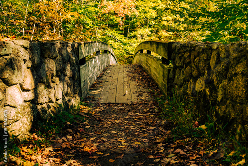 фотографія Leaves on wooden footbridge on a sunny autumn day at Crabtree Falls in the Appal