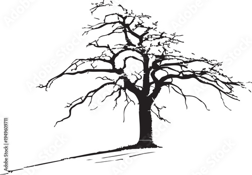 PrintSnow covered tree on a frosty hill with bare branches in a serene winter landscape with a gray sky