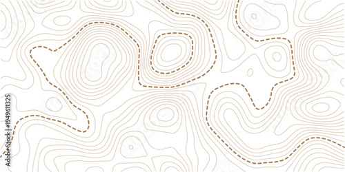Topographic map and landscape terrain texture grid. Abstract white topography vector background.