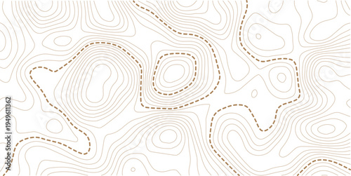 Topographic map and landscape terrain texture grid. Abstract white topography vector background.