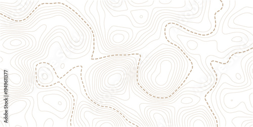 Topographic map and landscape terrain texture grid. Abstract white topography vector background.