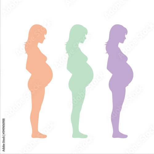 Simple illustration vector of pregnant woman illustration of pregnant women in different stages of pregnancy in colorful silhouettes