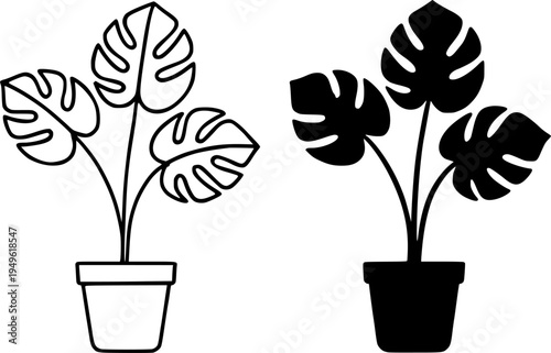 Monstera illustration icon, outline and silhouette, for plant or flower design