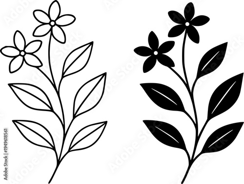 Jasmine illustration icon, outline and silhouette, for plant or flower design