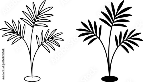 Ornamental palm illustration icon, outline and silhouette, for plant or nature design
