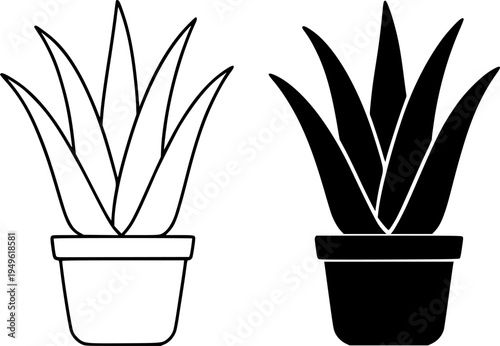Aloe vera illustration icon, outline and silhouette, for plant or flower design