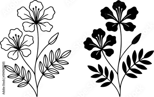 Flamboyan illustration icon, outline and silhouette, for plant or flower design