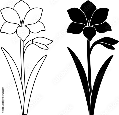 Amaryllis illustration icon, outline and silhouette, for plant or flower design