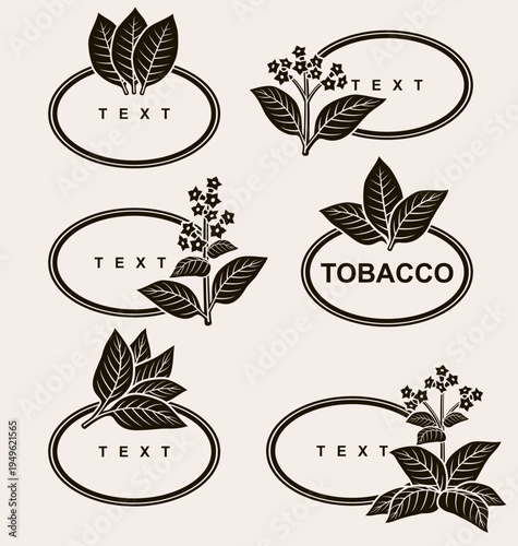 Tobacco leaf label and icon set. Collection icons tobacco. Vector