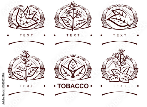 Tobacco leaf label and icon set. Collection icons tobacco. Vector