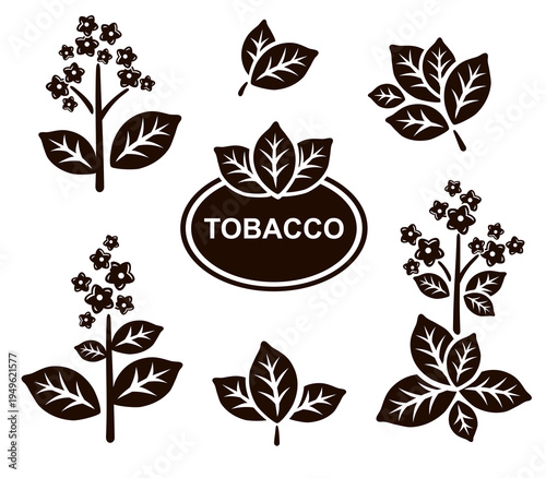 Tobacco leaf icons set. Collection icon tobacco. Vector